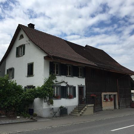 Airport Zuerich Elwiras B & B Lufingen Ngoại thất bức ảnh