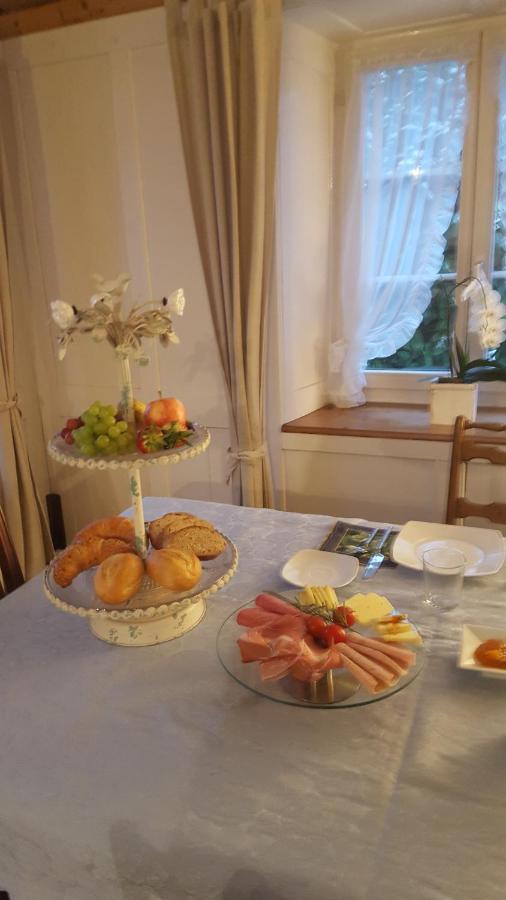 Airport Zuerich Elwiras B & B Lufingen Phòng bức ảnh