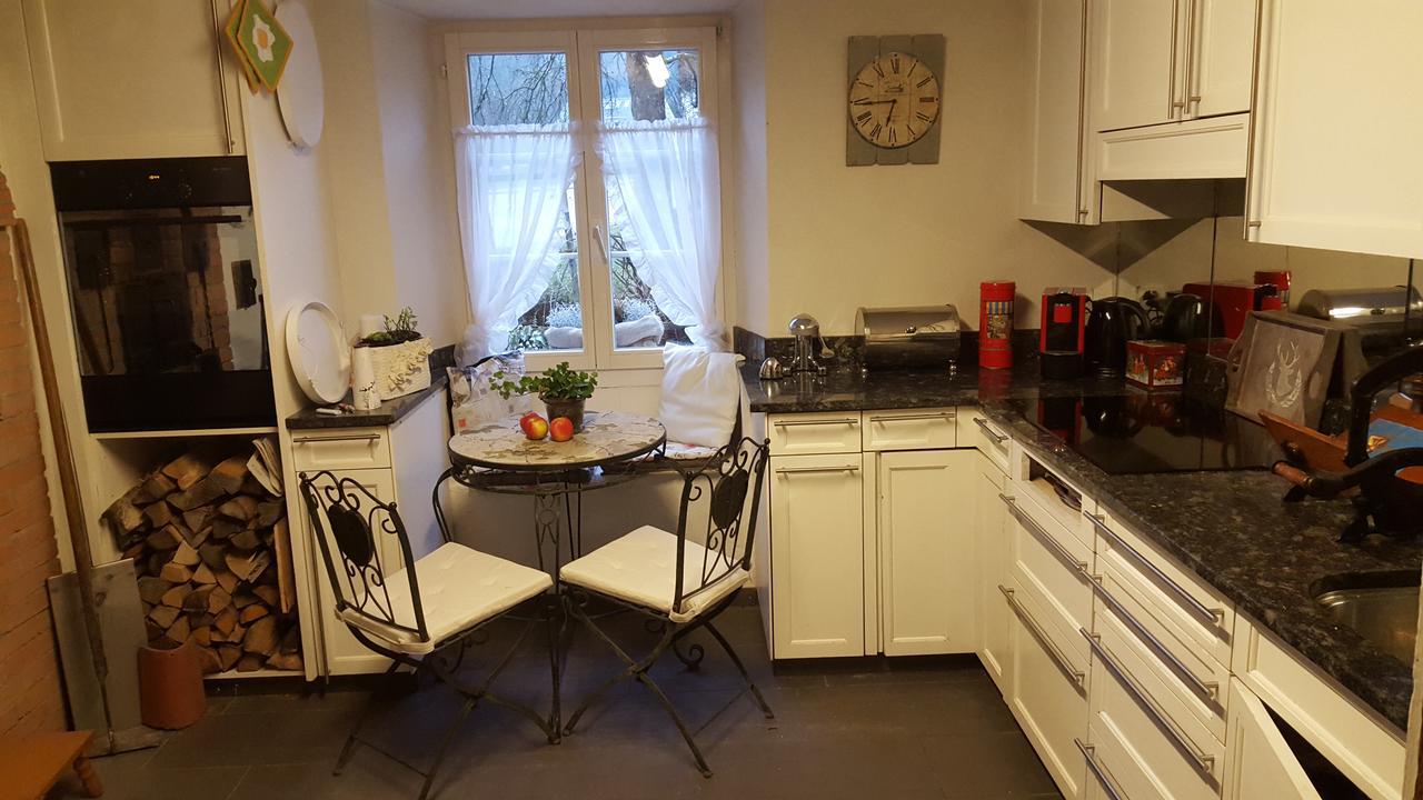 Airport Zuerich Elwiras B & B Lufingen Ngoại thất bức ảnh
