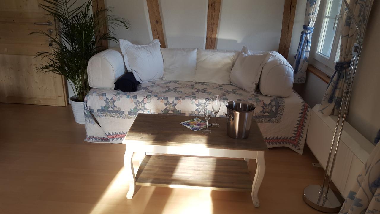 Airport Zuerich Elwiras B & B Lufingen Ngoại thất bức ảnh