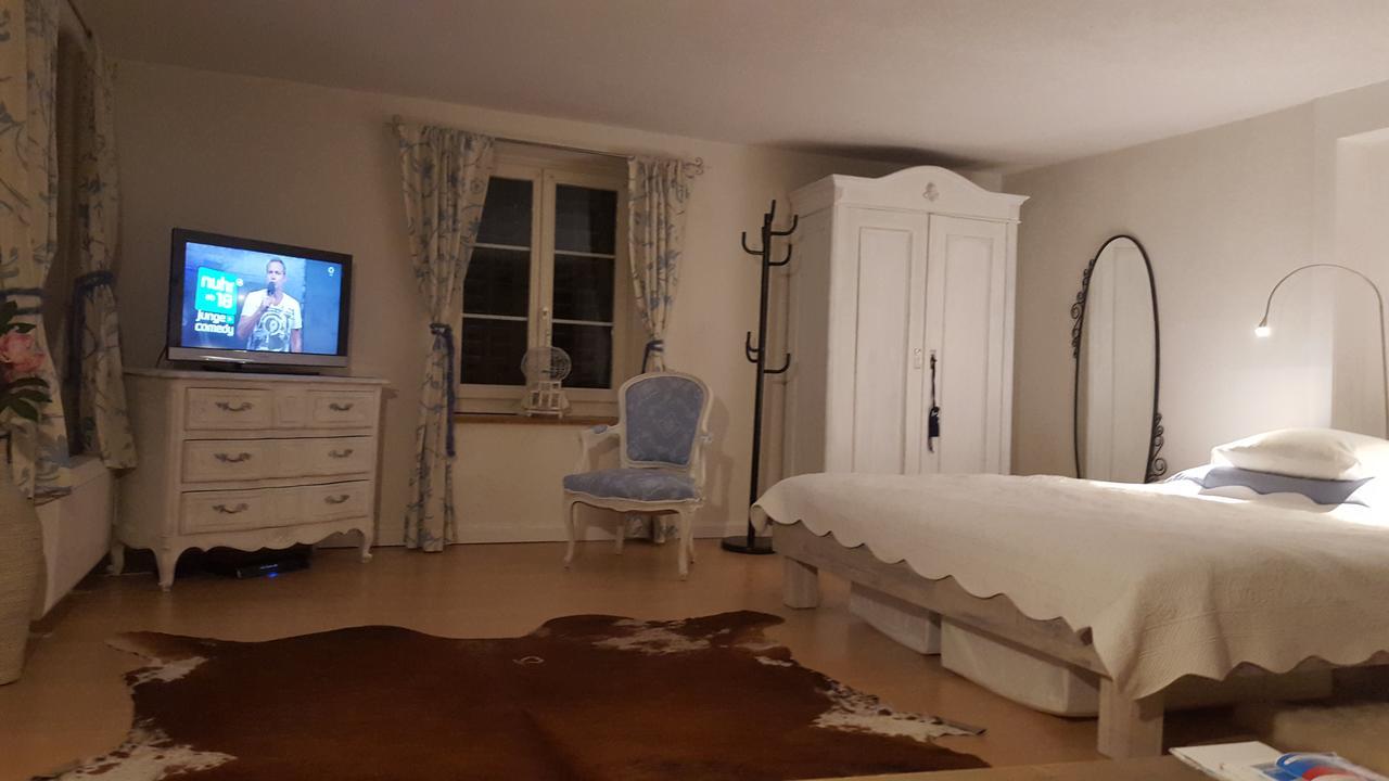 Airport Zuerich Elwiras B & B Lufingen Ngoại thất bức ảnh