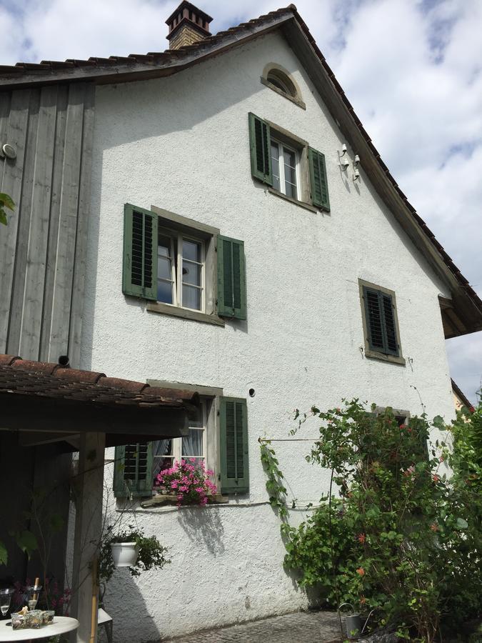 Airport Zuerich Elwiras B & B Lufingen Ngoại thất bức ảnh