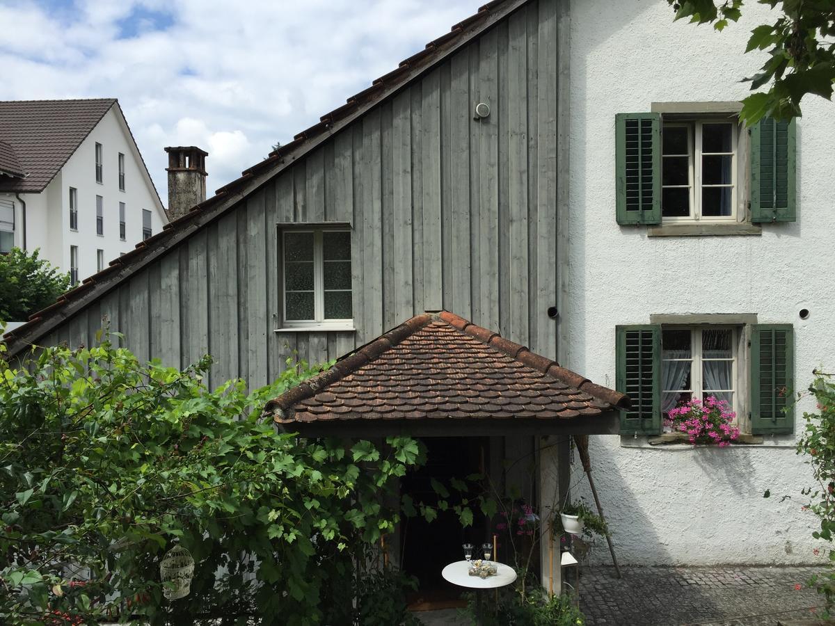 Airport Zuerich Elwiras B & B Lufingen Ngoại thất bức ảnh