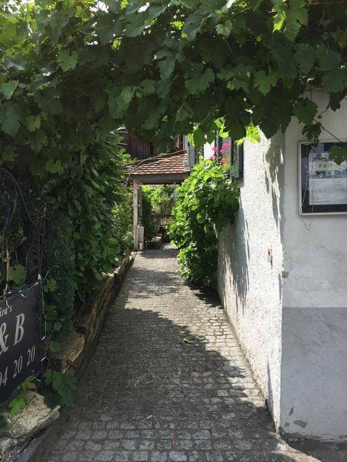 Airport Zuerich Elwiras B & B Lufingen Ngoại thất bức ảnh