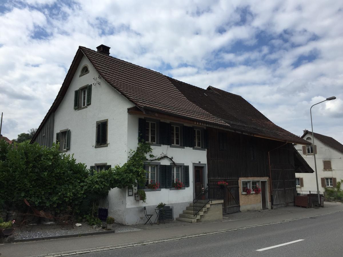 Airport Zuerich Elwiras B & B Lufingen Ngoại thất bức ảnh