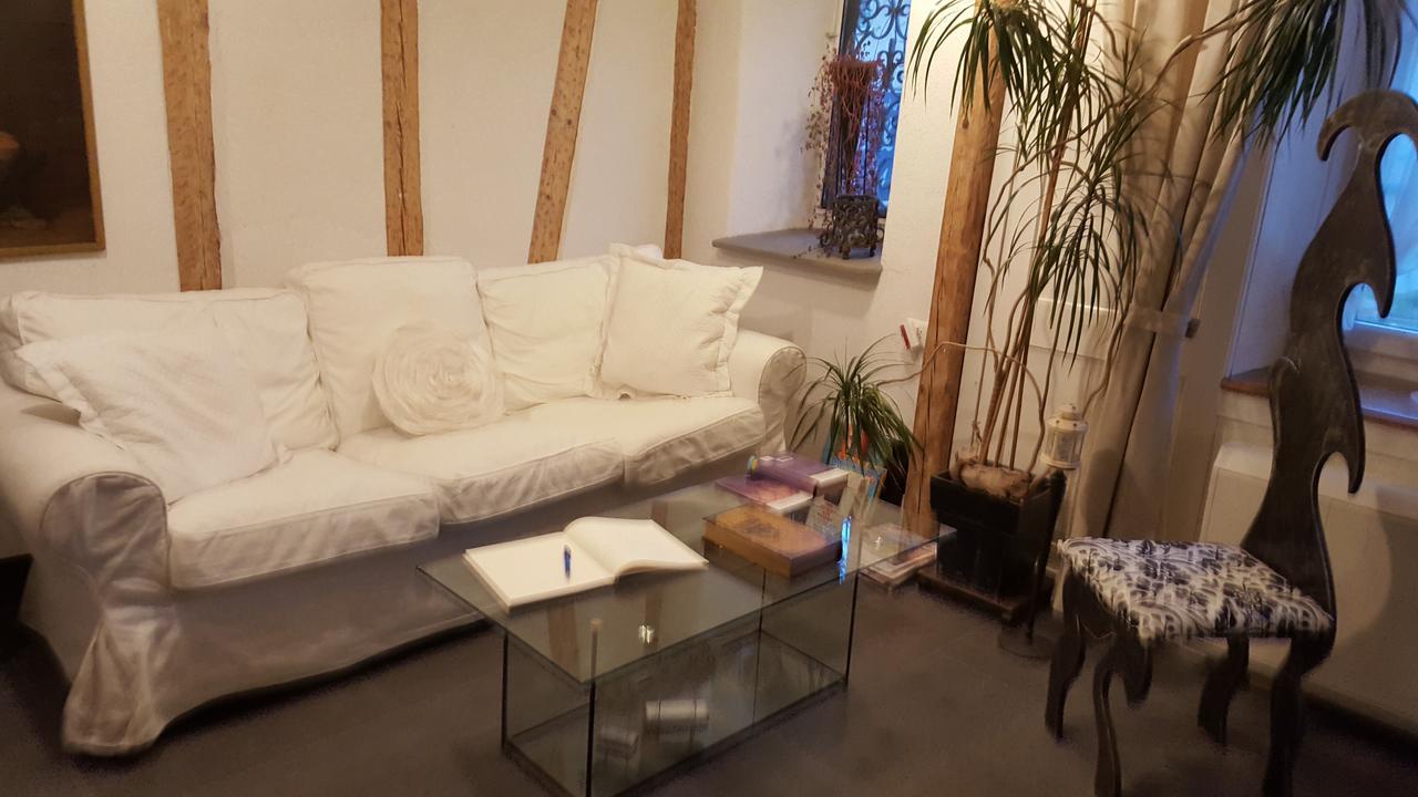Airport Zuerich Elwiras B & B Lufingen Ngoại thất bức ảnh